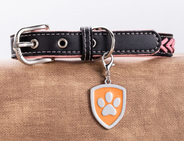 Štítek pro mazlíčky 6 cm - Obrázek 4