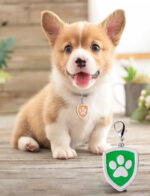 Štítek pro mazlíčky 6 cm - Obrázek 5