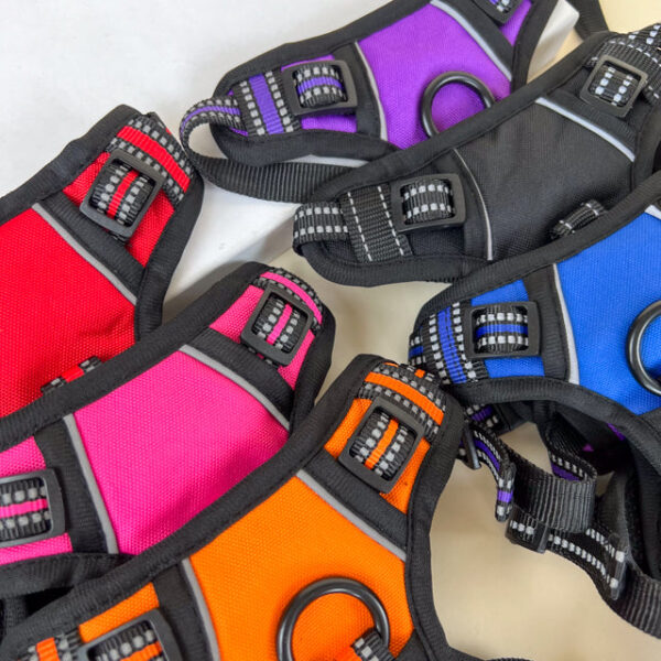 Polstrovaný postroj pro pejsky S (obvod těla až 60cm, lze zmenšit) délka 20 cm - Obrázek 13