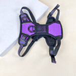 Polstrovaný postroj pro pejsky S (obvod těla až 60cm, lze zmenšit) délka 20 cm - Obrázek 12