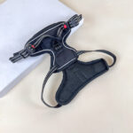 Polstrovaný postroj pro pejsky S (obvod těla až 60cm, lze zmenšit) délka 20 cm - Obrázek 10