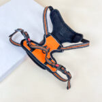 Polstrovaný postroj pro pejsky S (obvod těla až 60cm, lze zmenšit) délka 20 cm - Obrázek 7