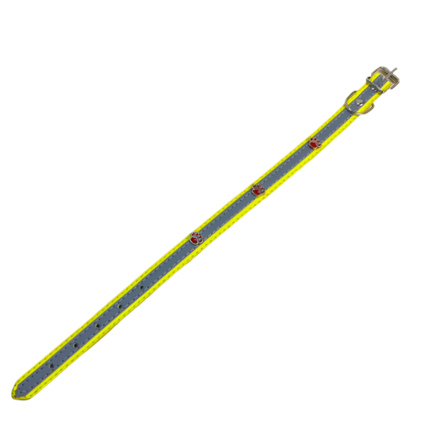 Kožený obojek 28-37 cm - Obrázek 11