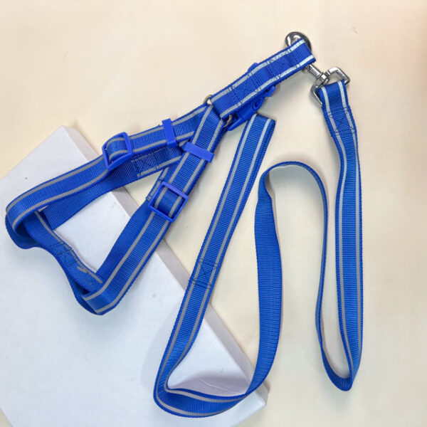 Voditko s postrojem 40-60 cm, 120 cm - Obrázek 2