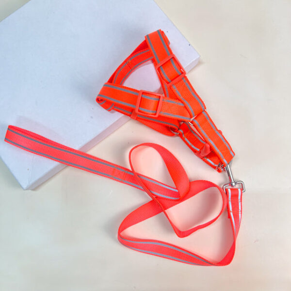 Voditko s postrojem 40-60 cm, 120 cm - Obrázek 1