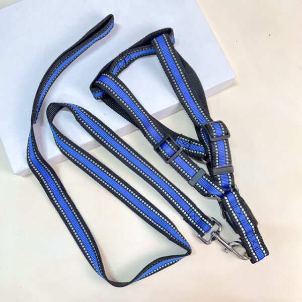 Sada vodítka s postrojem 2.5 cm, 40-60 cm, 117 cm - Obrázek 1