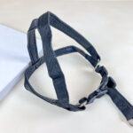 Pružné natahovací vodítko 90cm s postrojem 65cm obvod - Obrázek 3