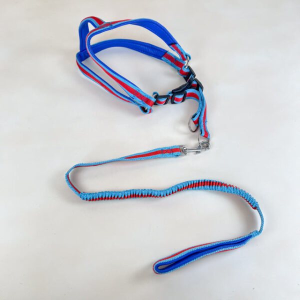 Pružné natahovací vodítko 90cm s postrojem 65cm obvod - Obrázek 2