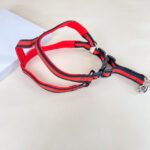 Pružné natahovací vodítko 90cm s postrojem 65cm obvod - Obrázek 16