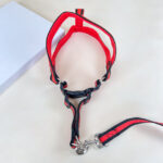 Pružné natahovací vodítko 90cm s postrojem 65cm obvod - Obrázek 17