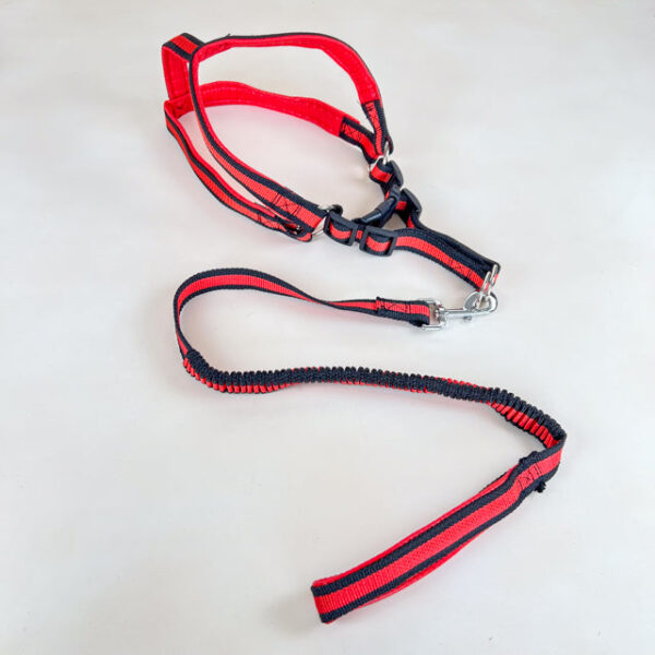 Pružné natahovací vodítko 90cm s postrojem 65cm obvod - Obrázek 1