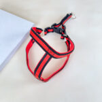 Pružné natahovací vodítko 90cm s postrojem 65cm obvod - Obrázek 18