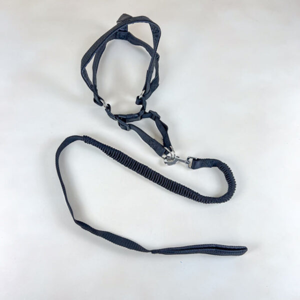 Pružné natahovací vodítko 90cm s postrojem 65cm obvod - Obrázek 4