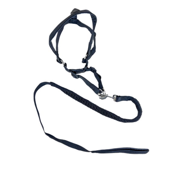 Pružné natahovací vodítko 90cm s postrojem 65cm obvod - Obrázek 21