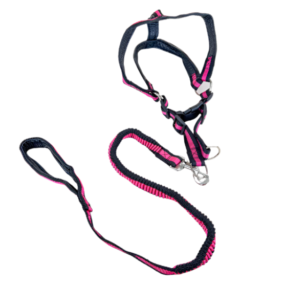 Pružné natahovací vodítko 90cm s postrojem 65cm obvod - Obrázek 22