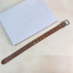 Kožený obojek 3x36-46 cm