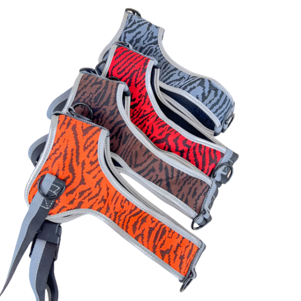 Postroj XL 52-80 cm - Obrázek 15