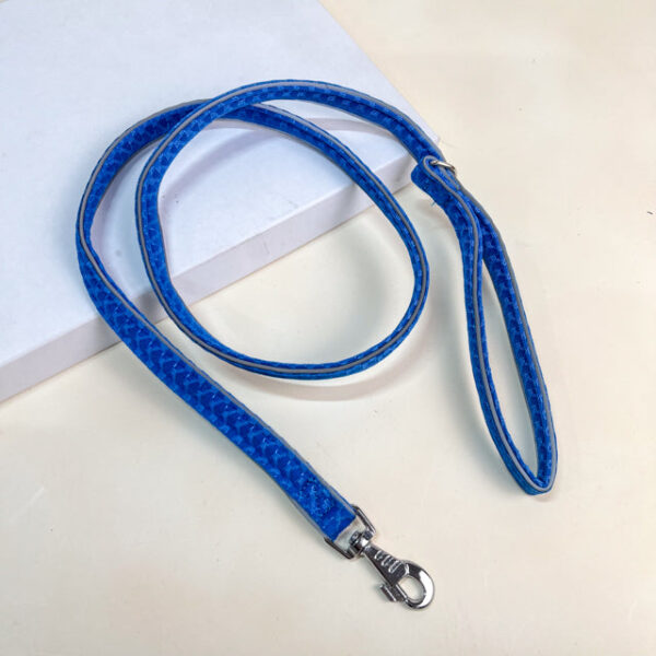 Vodítko s postrojem - Obrázek 5