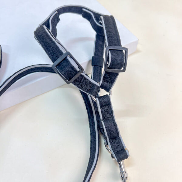 Vodítko s postrojem - Obrázek 12