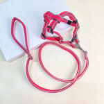 Vodítko s postrojem - Obrázek 4