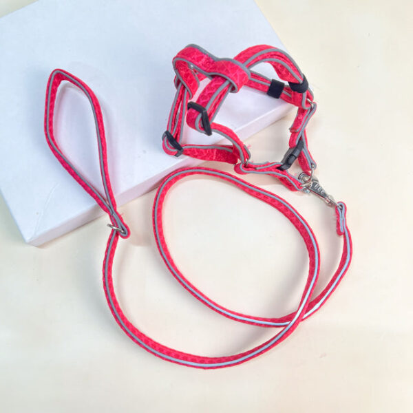 Vodítko s postrojem - Obrázek 4