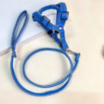 Vodítko s postrojem - Obrázek 2