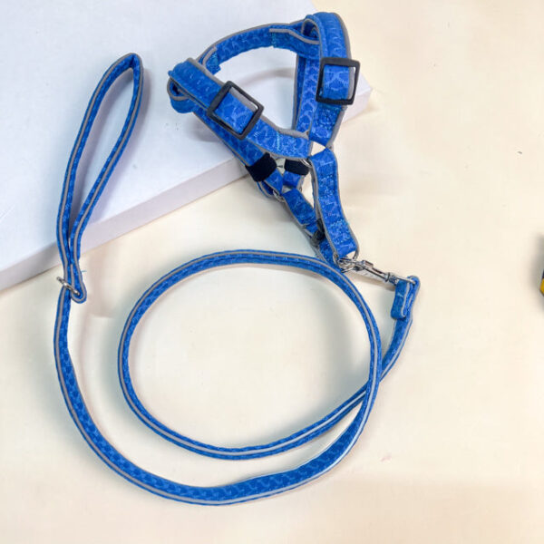 Vodítko s postrojem - Obrázek 2