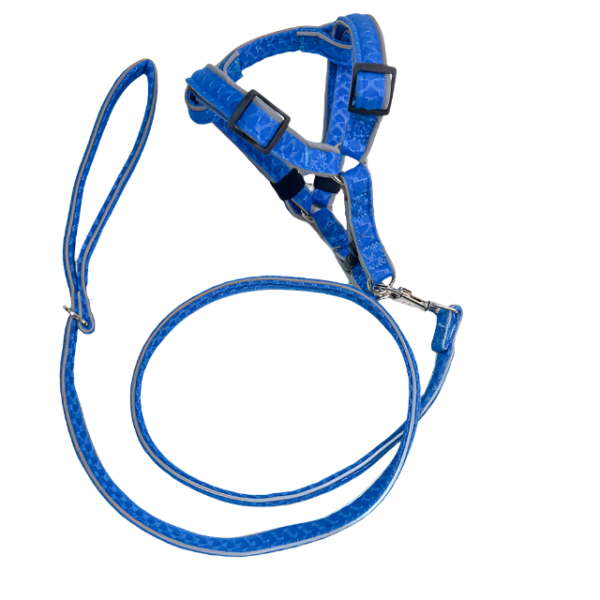 Vodítko s postrojem - Obrázek 14