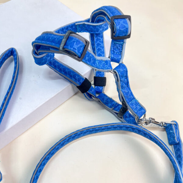 Vodítko s postrojem - Obrázek 6