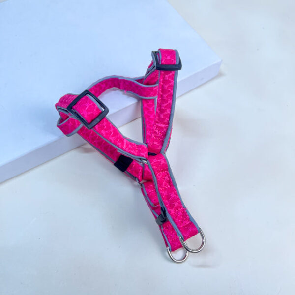 Vodítko s postrojem - Obrázek 9