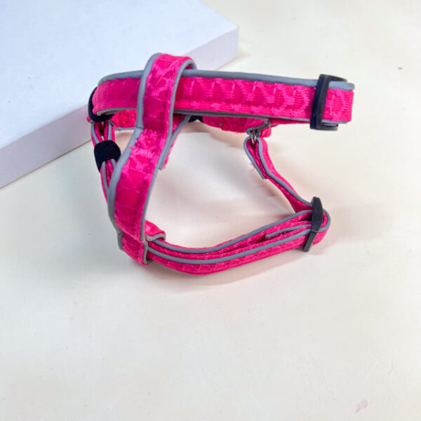 Vodítko s postrojem - Obrázek 10