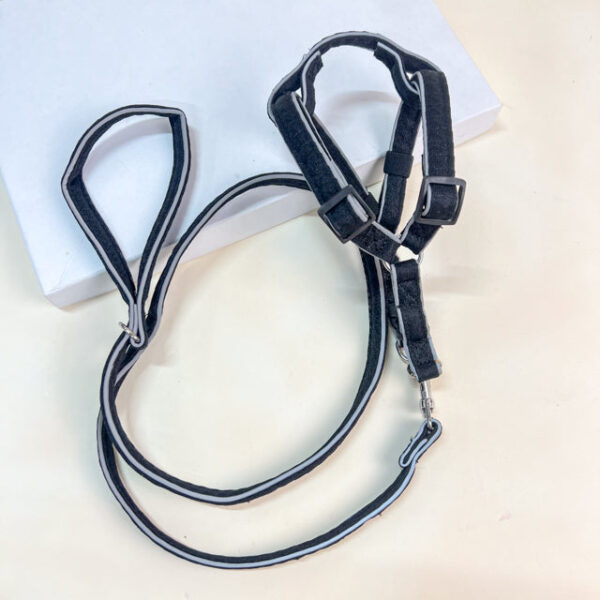 Vodítko s postrojem - Obrázek 1