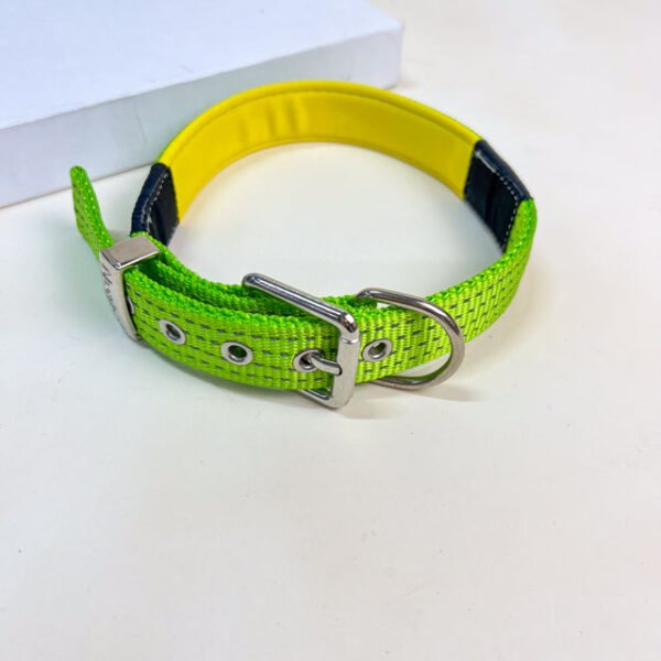 Polstrovaný obojek 37-44,5 cm - Obrázek 3