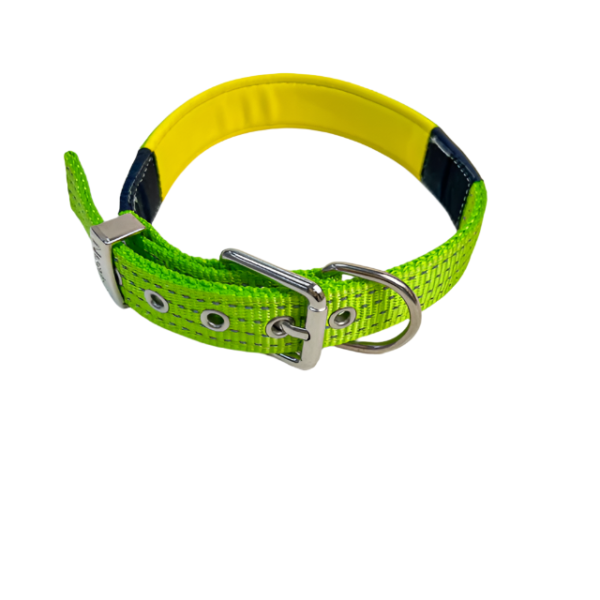 Polstrovaný obojek 37-44,5 cm - Obrázek 8