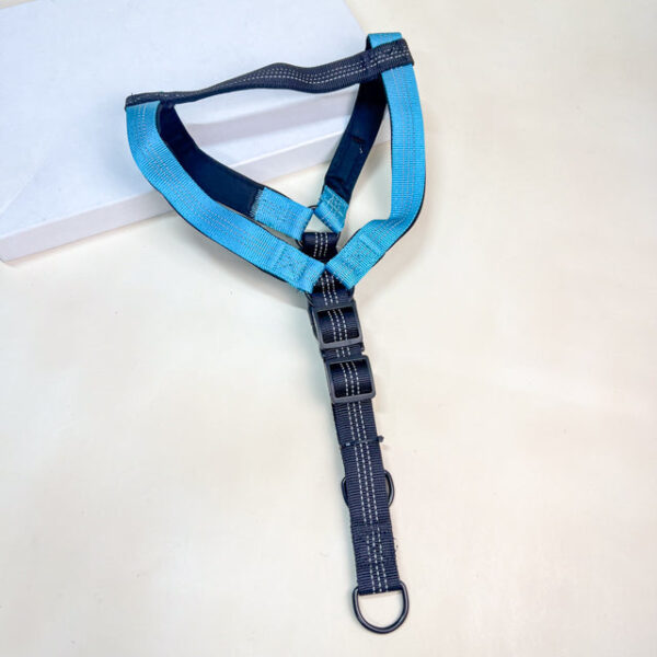 Reflexní postroj pro psy 2cm (obvod 50-60 cm) - Obrázek 1