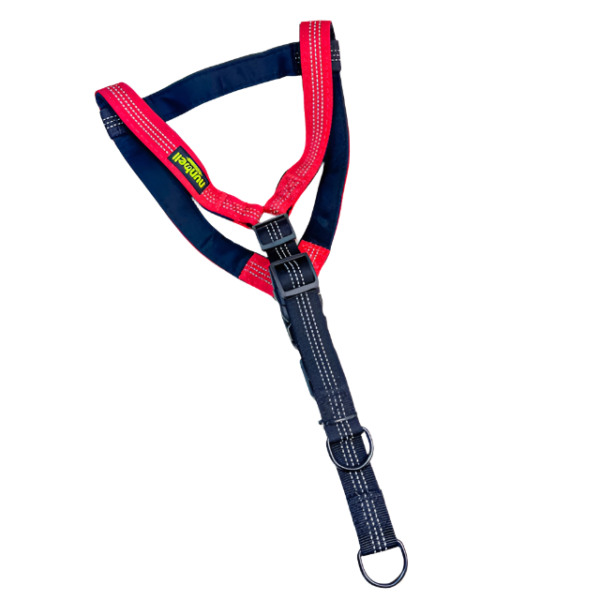 Reflexní postroj pro psy 2cm (obvod 50-60 cm) - Obrázek 7