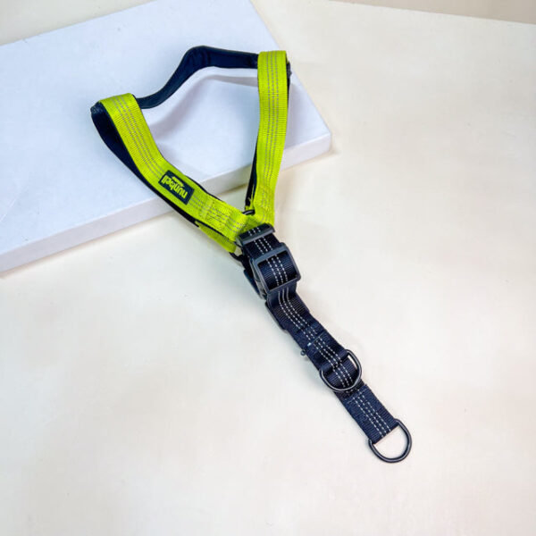 Reflexní postroj pro psy 2cm (obvod 50-60 cm) - Obrázek 6