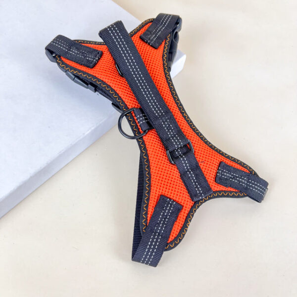Polstrovaný postroj M šířka 16cm (nastavitelná velikost 52- 62cm) pro psy - Obrázek 1