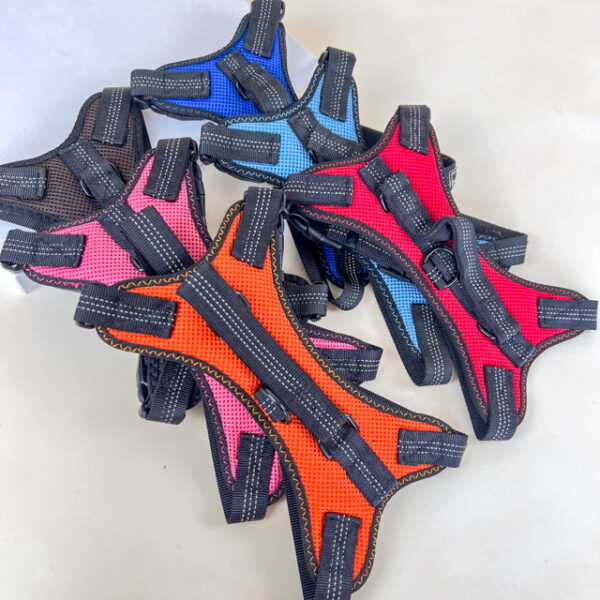 Polstrovaný postroj M šířka 16cm (nastavitelná velikost 52- 62cm) pro psy - Obrázek 2