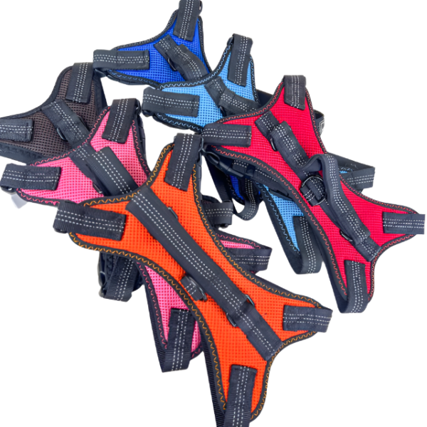 Polstrovaný postroj M šířka 16cm (nastavitelná velikost 52- 62cm) pro psy - Obrázek 9