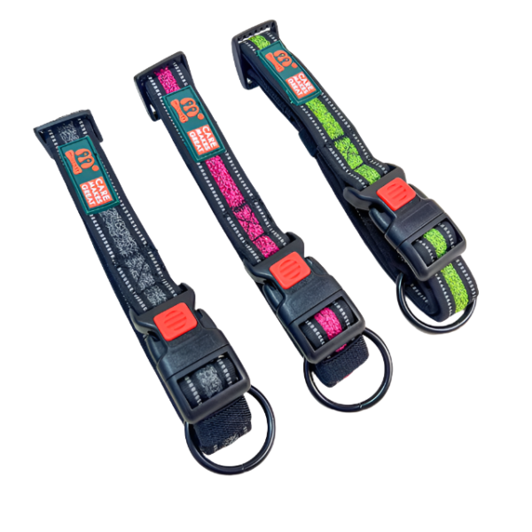 Obojek pro psy se systémem na uzamčení 33-54 cm x 2.5 cm - Obrázek 6