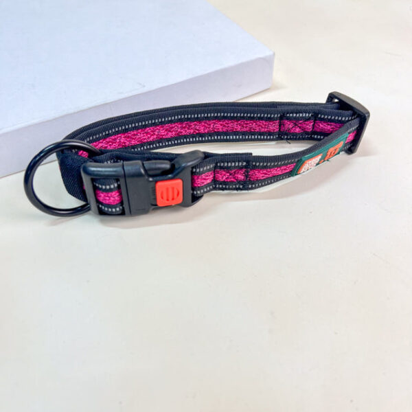 Obojek pro psy se systémem na uzamčení 33-54 cm x 2.5 cm - Obrázek 5