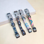 Barevný nylonový obojek 2.5 x 33-55 cm - Obrázek 2