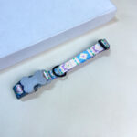 Barevný nylonový obojek 2.5 x 33-55 cm