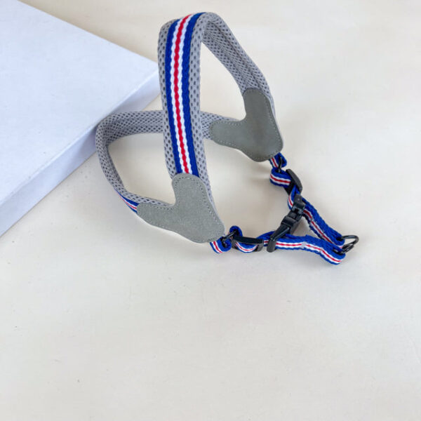 Polstrovaný postroj na psy M (obvod 65 cm) - Obrázek 5