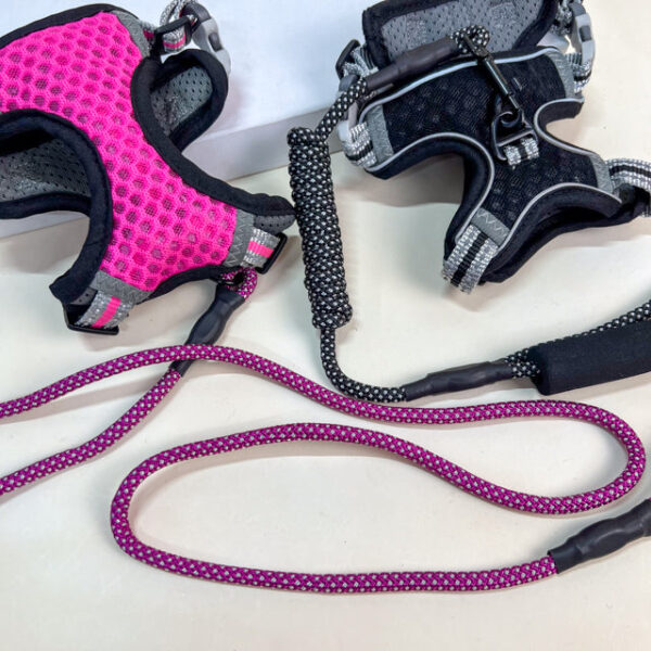 Voditko s postrojem - Obrázek 3