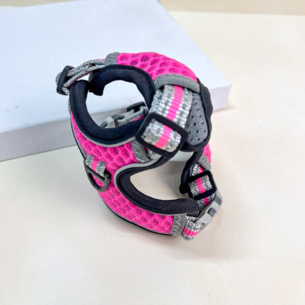 Voditko s postrojem - Obrázek 4