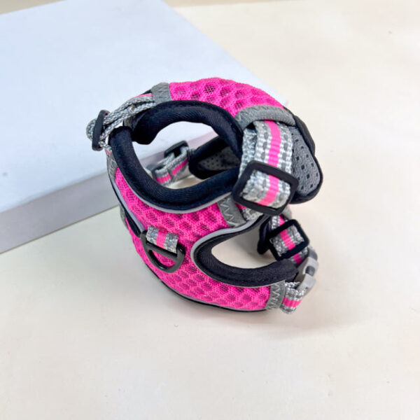 Voditko s postrojem - Obrázek 1