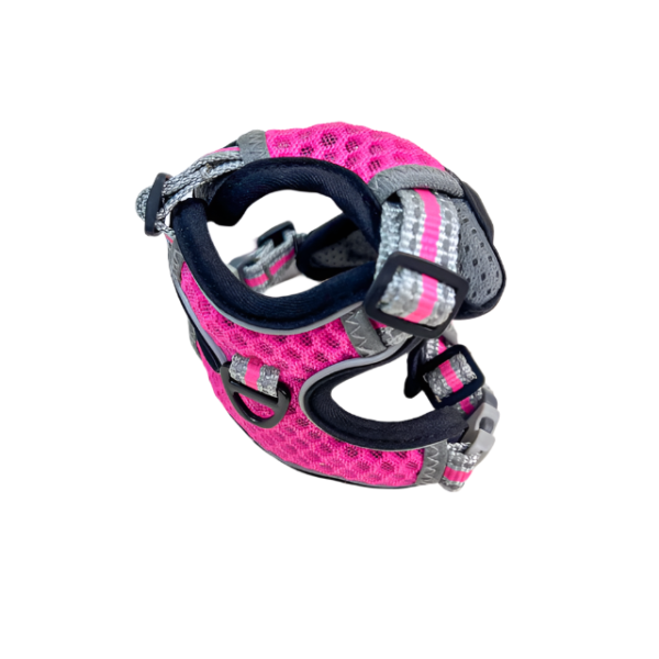 Voditko s postrojem - Obrázek 9