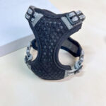 Voditko s postrojem - Obrázek 6